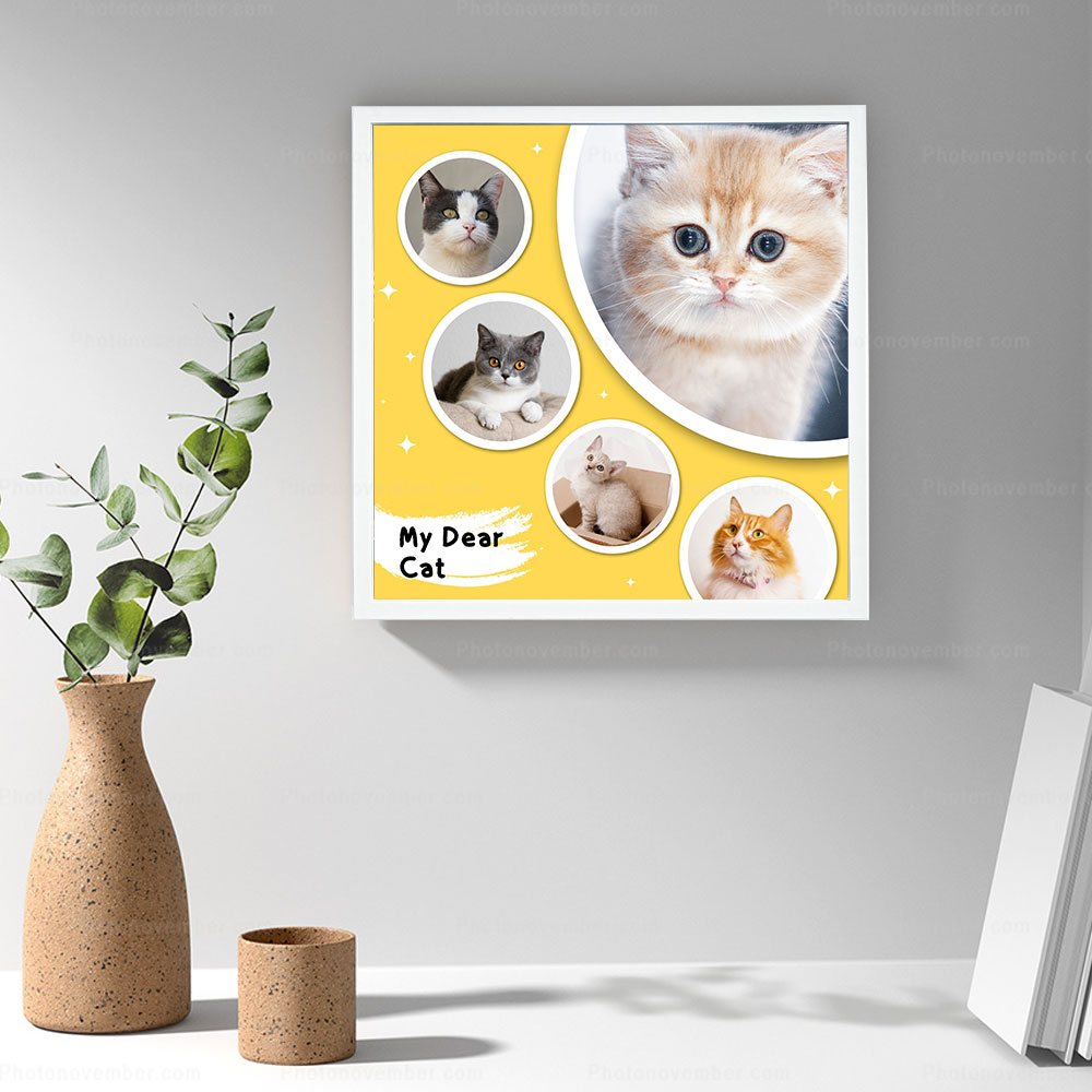 mockup-dan-tuong-cat